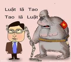 "Con ơi nhớ lấy lời này: Giặc đêm là cướp, giặc ngày là quan!"